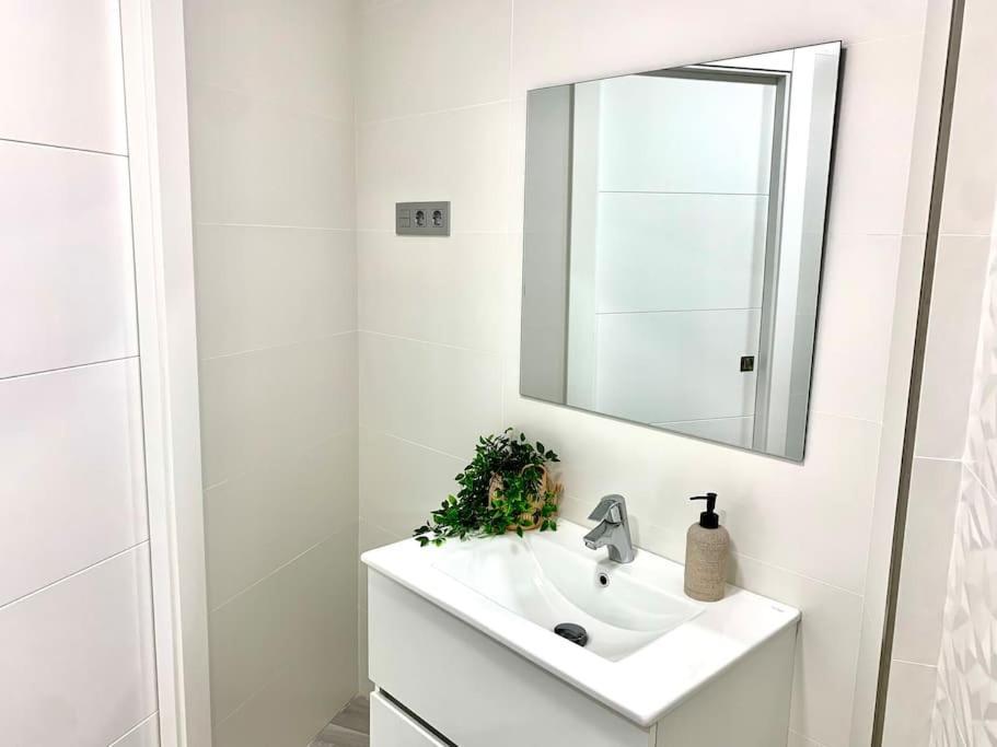 Precioso Apartamento マラガ エクステリア 写真